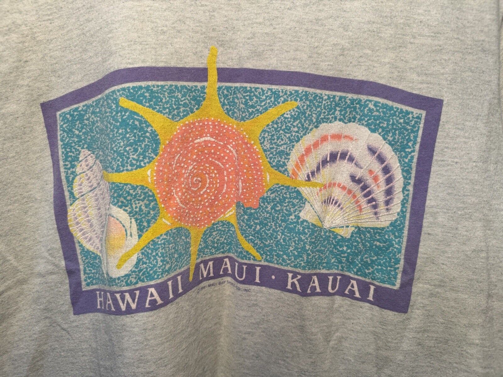 Vintage 1991 Hawaii Maui Kauai T-Shirt Size M Gray Made USA Shell Sun Beach 