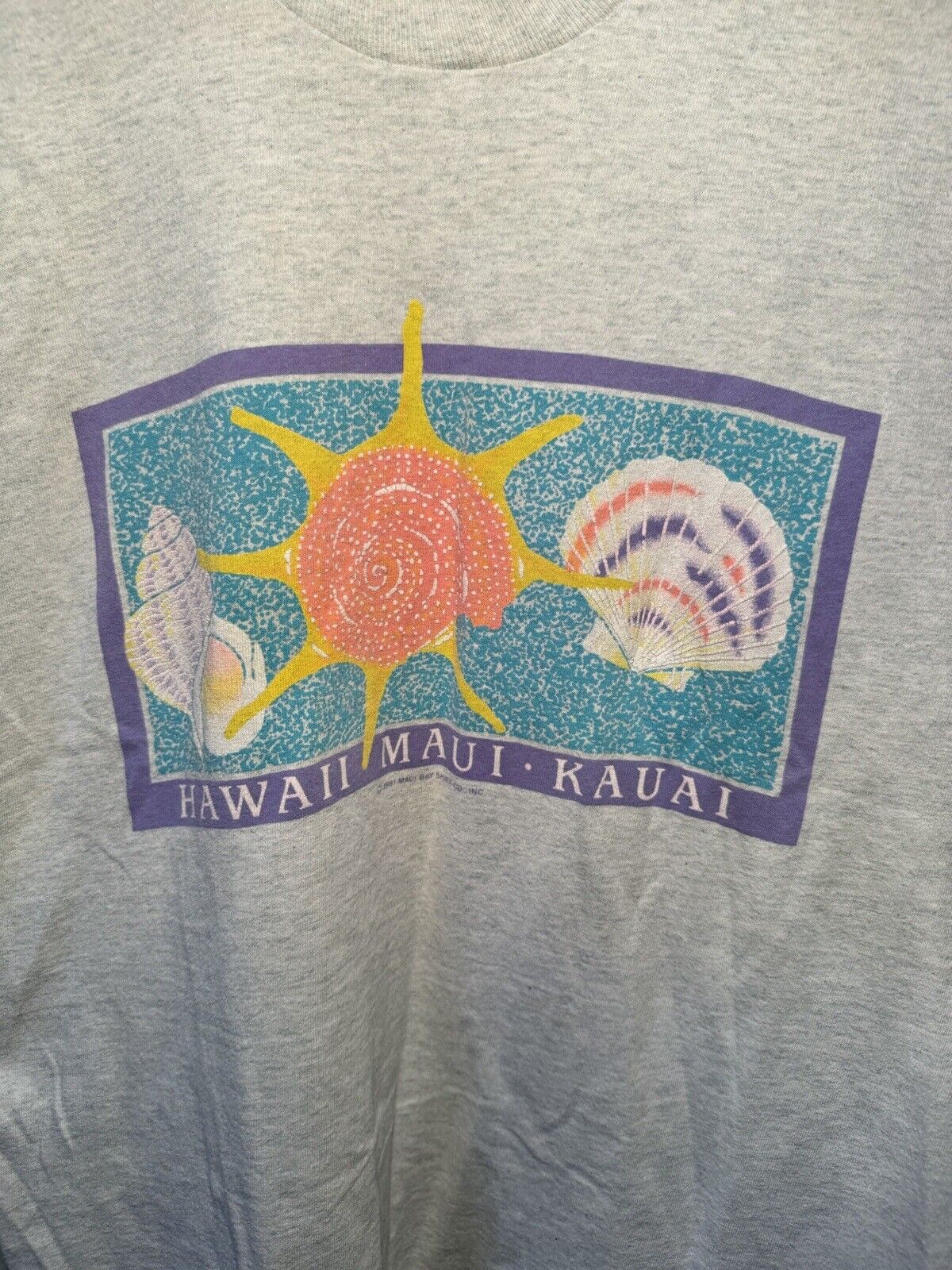 Vintage 1991 Hawaii Maui Kauai T-Shirt Size M Gray Made USA Shell Sun Beach 