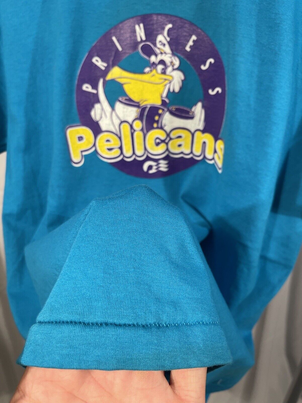 VTG Princess Pelicans Cruise Size Medium Single Stitch Tee Short Sleeves T Shirt