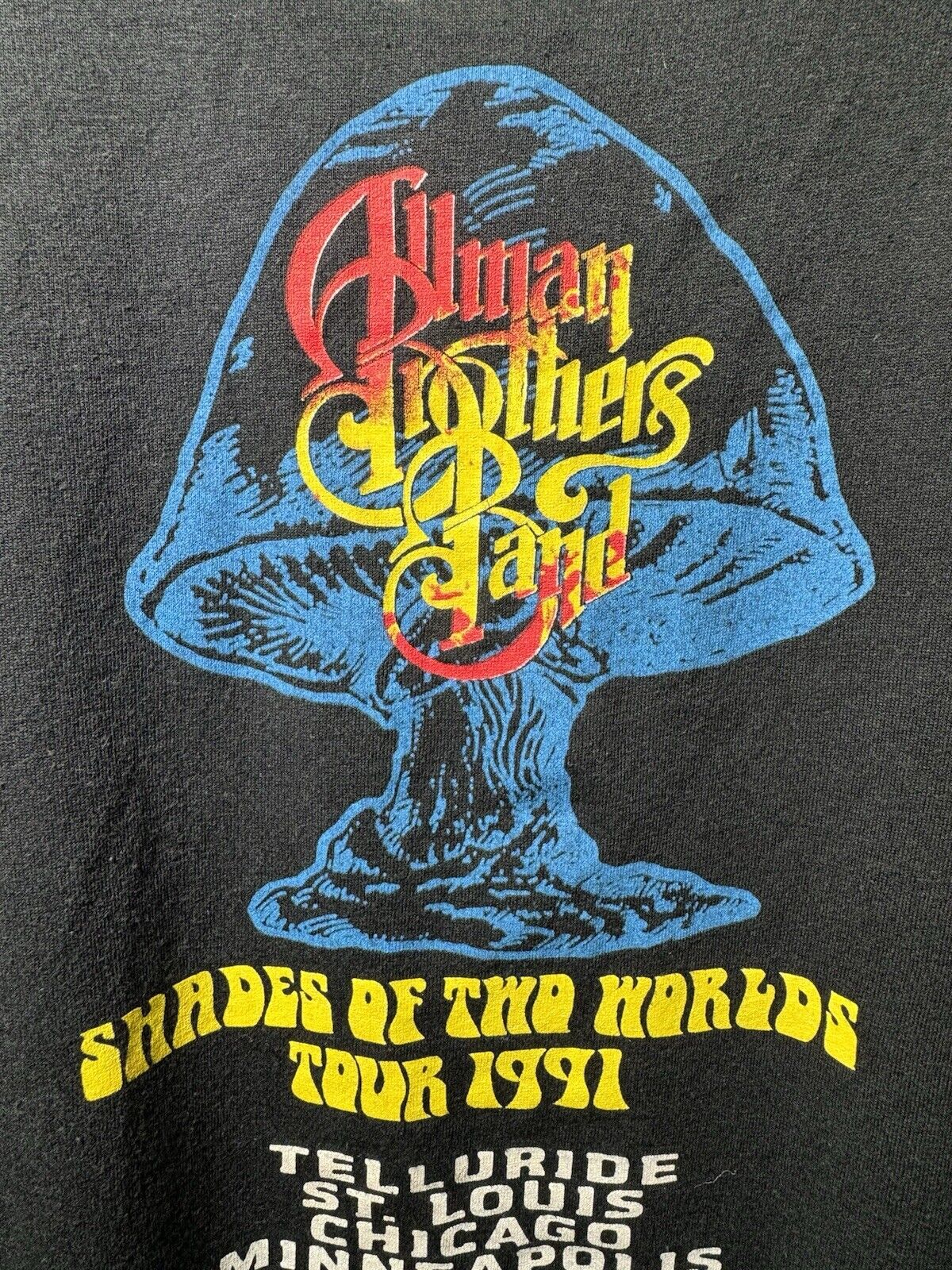 Vintage Allman Brothers Band T-Shirt 1991 Shade Of Two Worlds Tour L