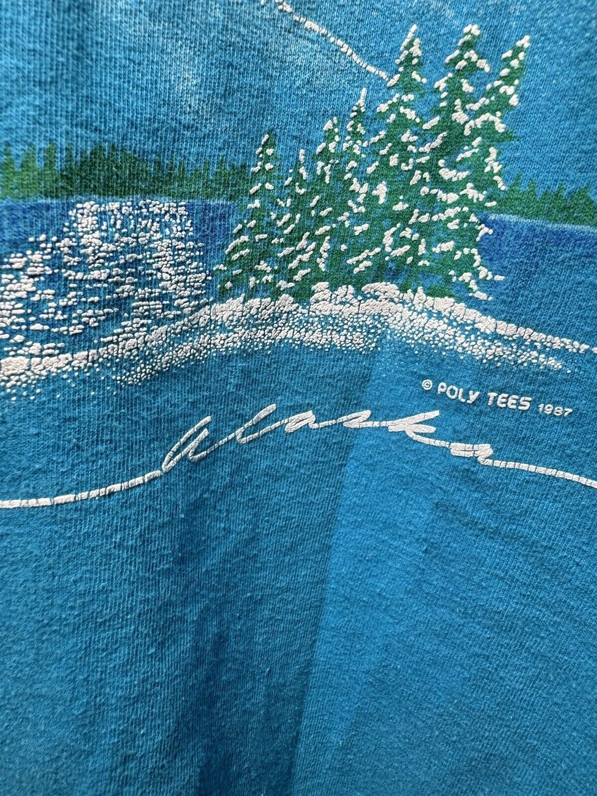 Vintage 1987 PolyTees Alaska United States Forest Nature Bird Blue T-Shirt XL