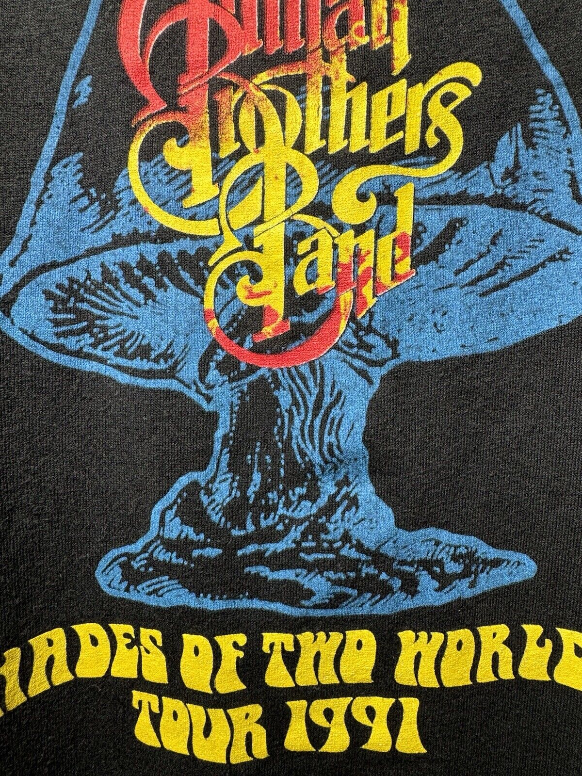 Vintage Allman Brothers Band T-Shirt 1991 Shade Of Two Worlds Tour L