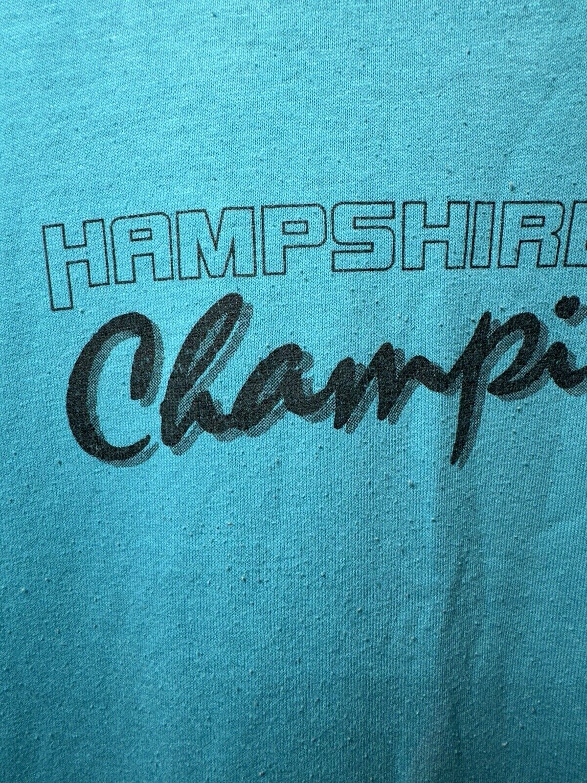 Vintage Hampshire Life Champions T-Shirt Blue Sz Large Jerzees Single Stitch 