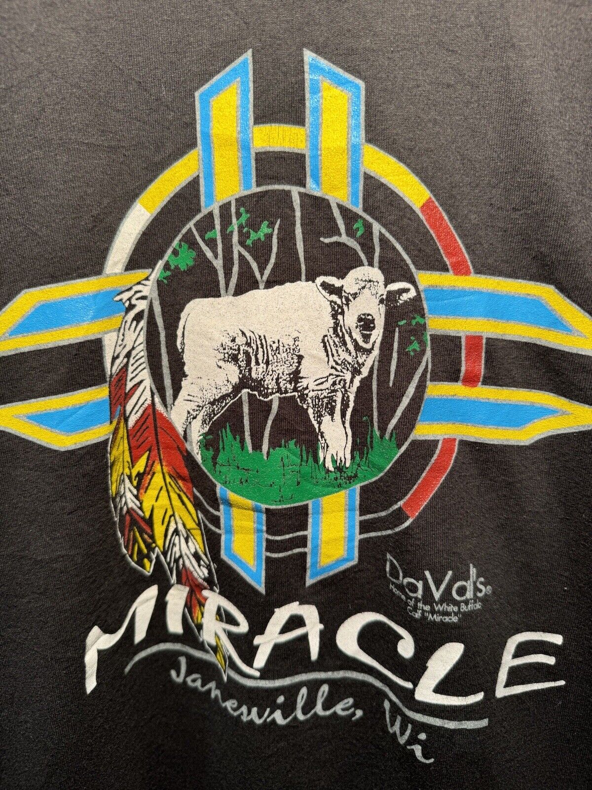 Vintage Miracle Davals Janesville WI Buffalo T-Shirt Size M RARE Made in USA 