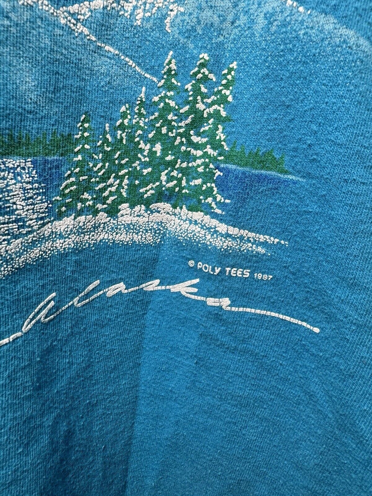 Vintage 1987 PolyTees Alaska United States Forest Nature Bird Blue T-Shirt XL