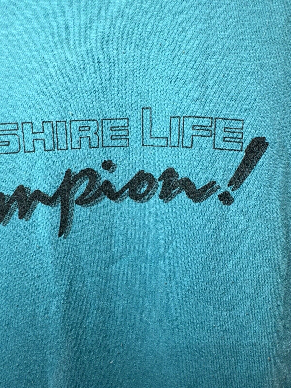 Vintage Hampshire Life Champions T-Shirt Blue Sz Large Jerzees Single Stitch 