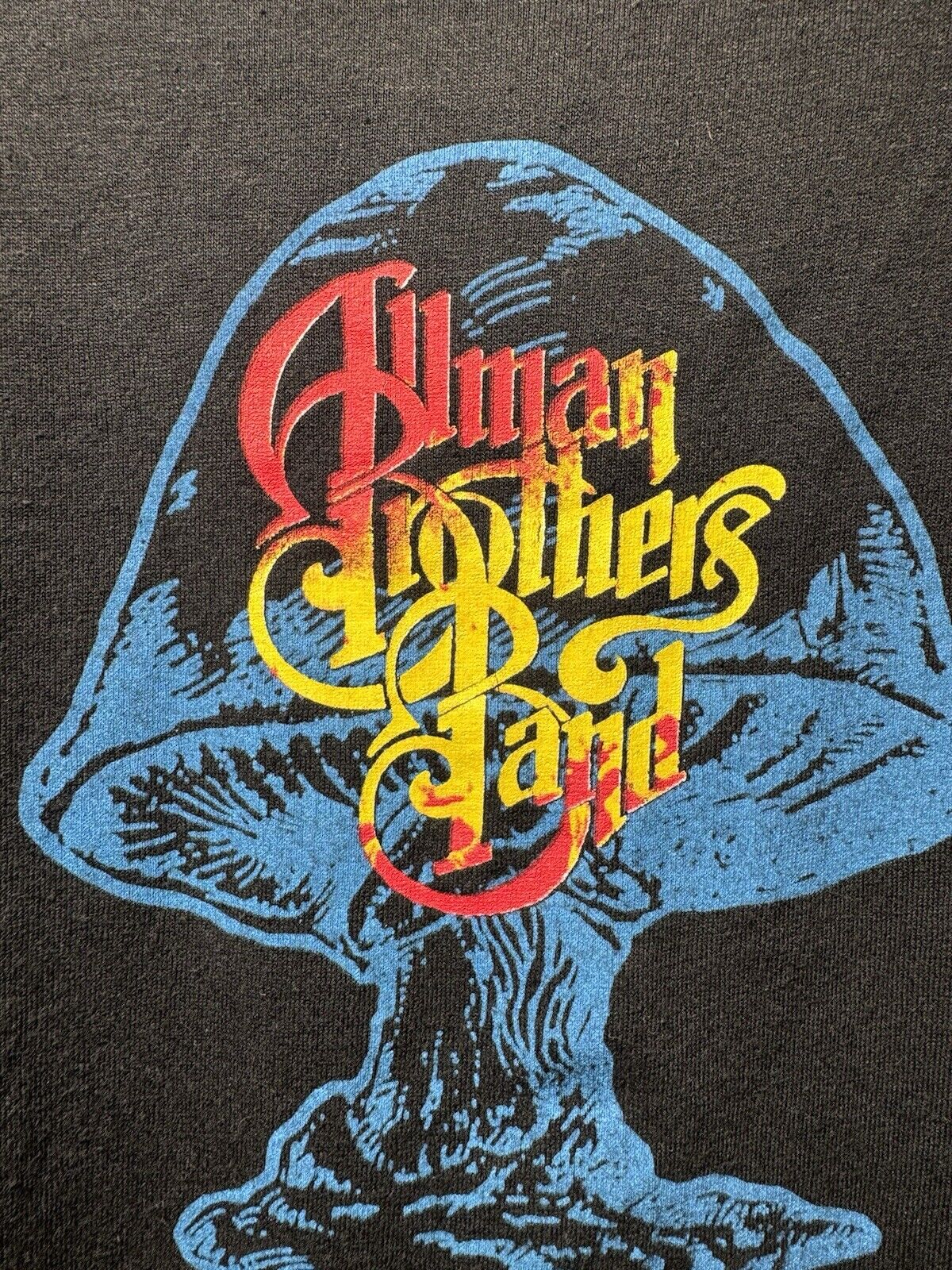 Vintage Allman Brothers Band T-Shirt 1991 Shade Of Two Worlds Tour L