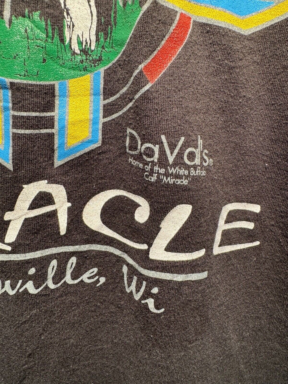 Vintage Miracle Davals Janesville WI Buffalo T-Shirt Size M RARE Made in USA 