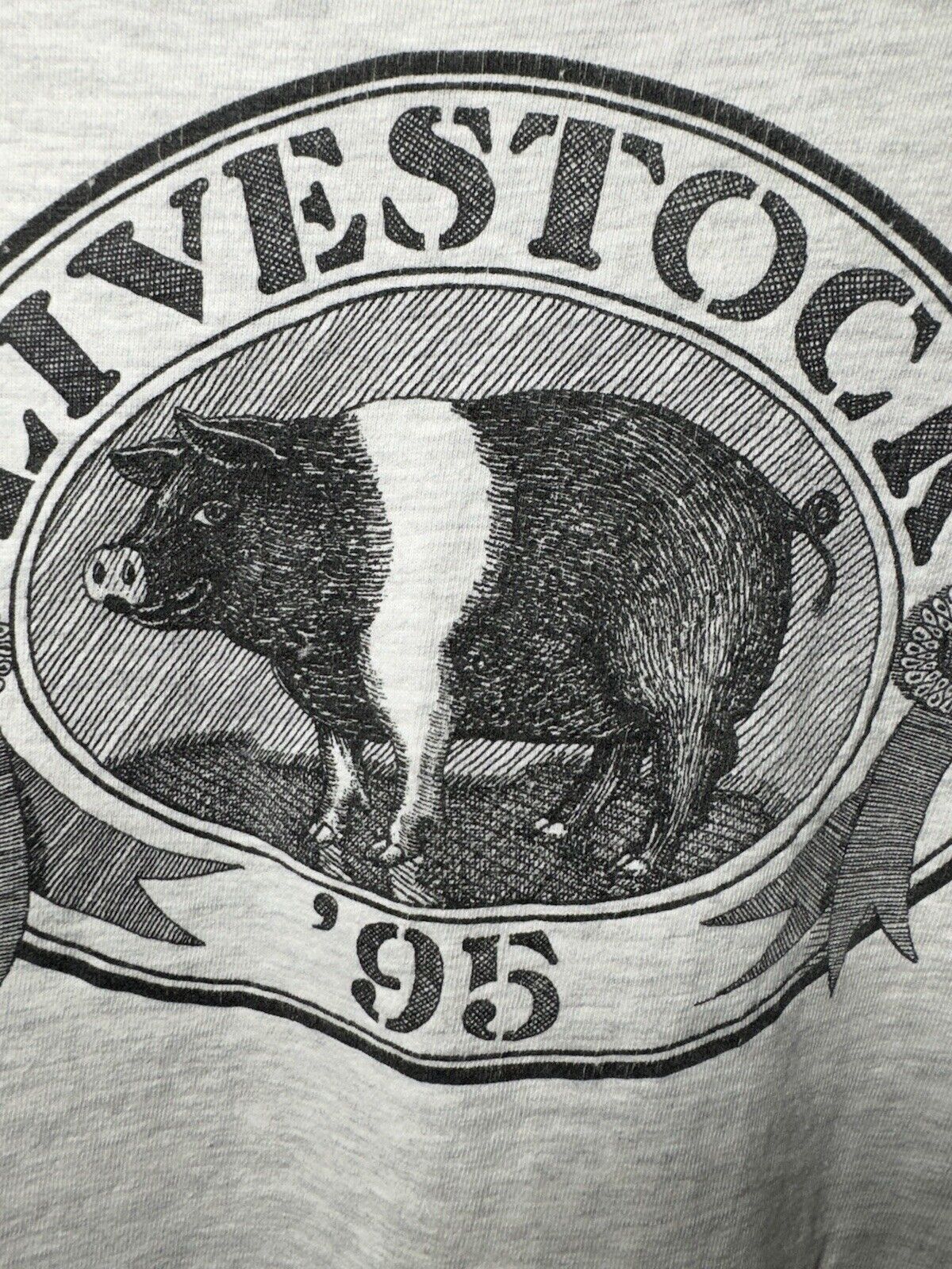 Vtg Livestock 1995 Carly Simon James Taylor Martha’s Vineyard Concert T-Shirt XL